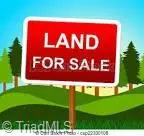 Randleman, NC 27317,0 Forest Park DR