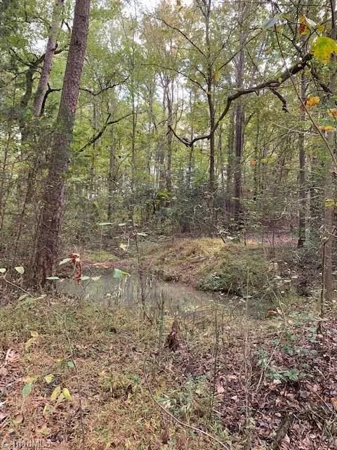 Ramseur, NC 27316,0 Patterson Grove RD