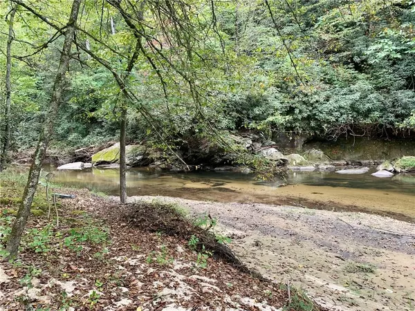 Traphill, NC 28685,Lot 5,6,and 7 Forest River LN