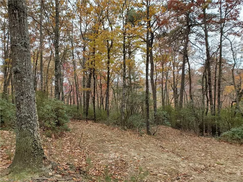 Lot #49B Bell Mountain RD, Hays, NC 28635