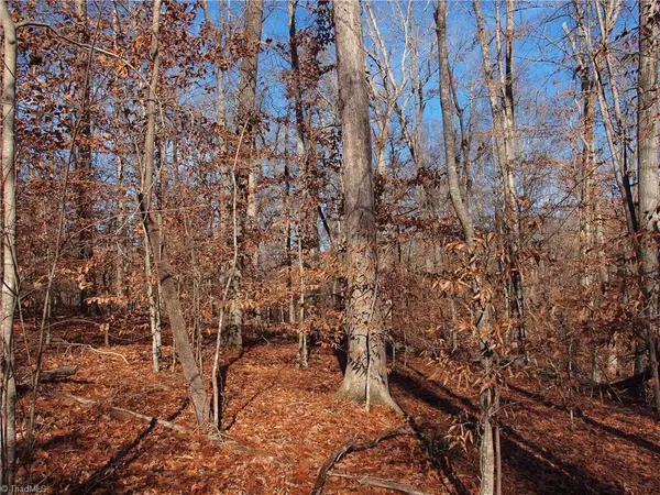 Tobaccoville, NC 27050,0 Bountiful LN