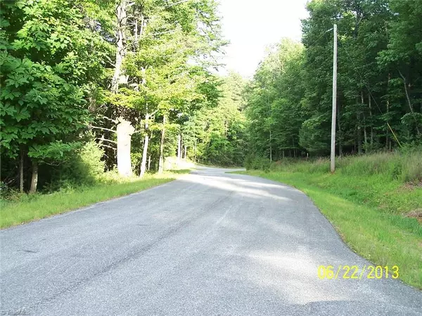 Mcgrady, NC 28649,Lot 222 Chestnut Mountain Farms Pkwy