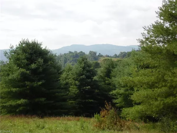 Sparta, NC 28675,Lot #12 Ridgeline WAY