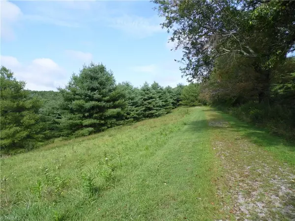 Sparta, NC 28675,Lot #12 Ridgeline WAY