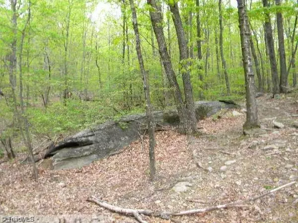 King, NC 27021,00 Covington RD