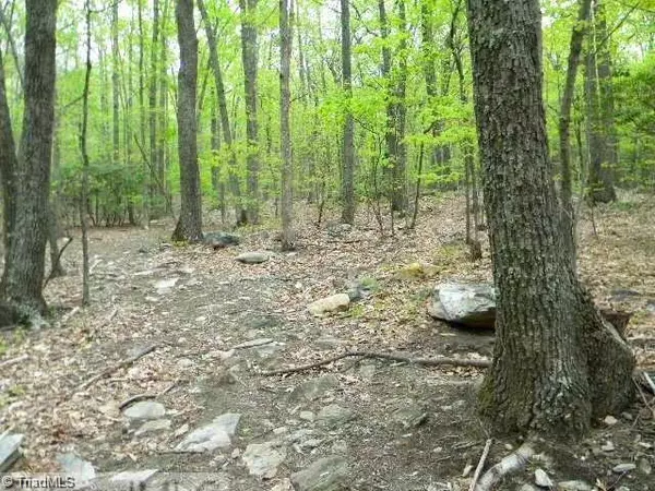 King, NC 27021,00 Covington RD