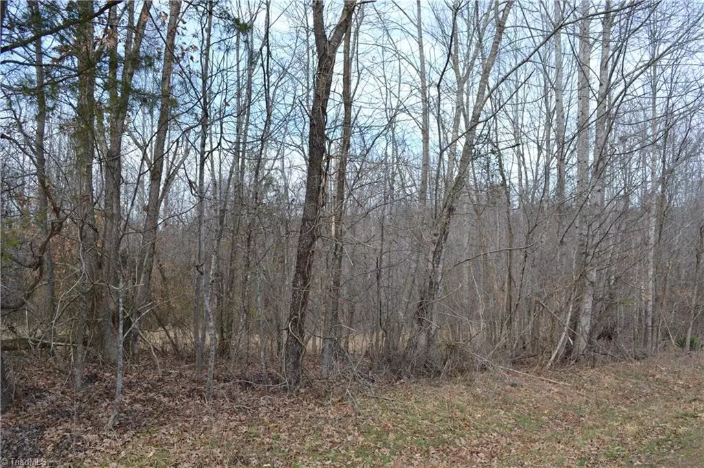 Stoneville, NC 27048,11.82 Acres Claybrook RD