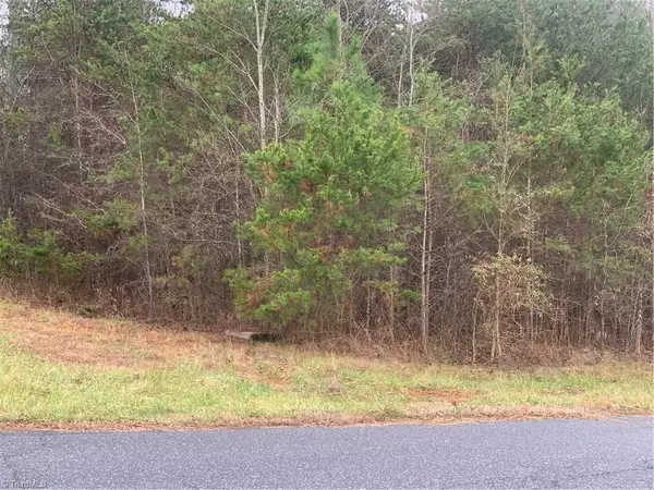 Taylorsville, NC 28681,Lot 118 Jenkins Moose RD