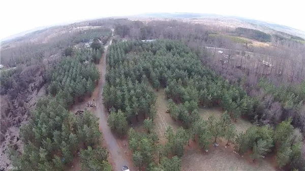 Stoneville, NC 27048,1439 Anglin Mill RD