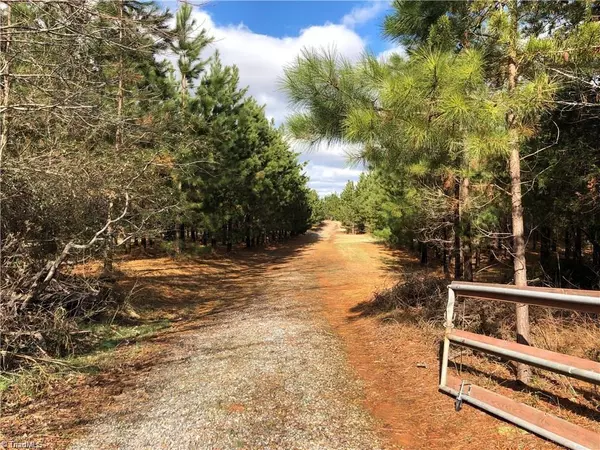 Stoneville, NC 27048,1439 Anglin Mill RD