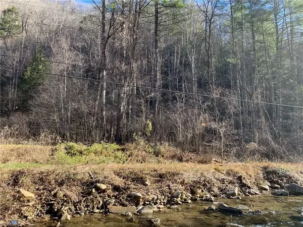 Deep Gap, NC 28618,00 Elk Creek RD