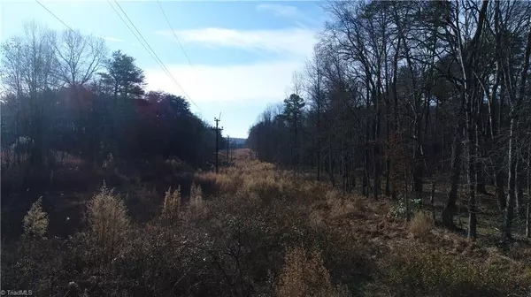 Stoneville, NC 27048,197 Contessa LOOP