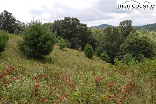 Piney Creek, NC 28663,TBD Deer Knoll DR