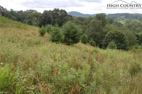 Piney Creek, NC 28663,TBD Deer Knoll DR