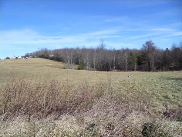 Ennice, NC 28623,Lot #18 Saddle View RD