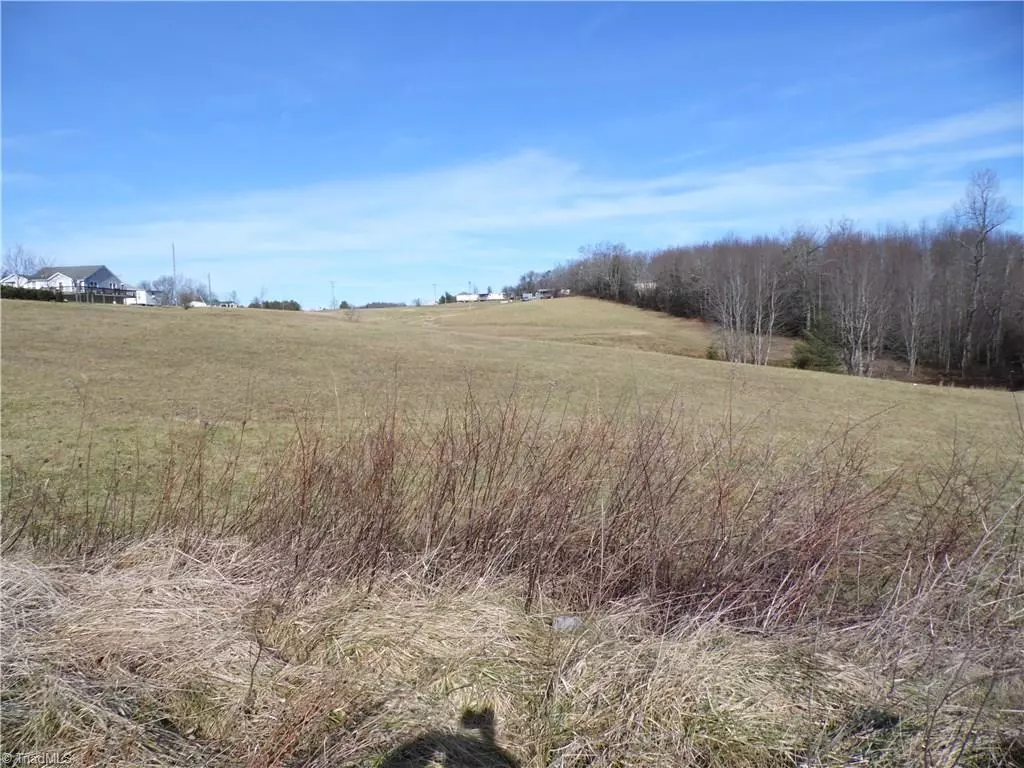 Ennice, NC 28623,Lot #18 Saddle View RD