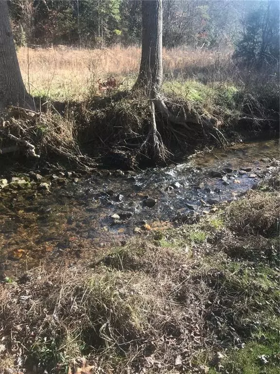 Millers Creek, NC 28651,1334 Green Acres RD