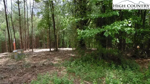 Glade Valley, NC 28627,TBD Wellington RD #Lot 14/15