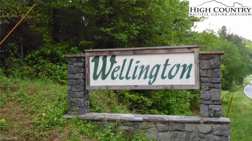 TBD Wellington RD #Lot 14/15, Glade Valley, NC 28627