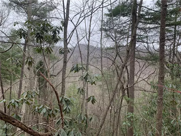 Millers Creek, NC 28651,63 Riverview RD