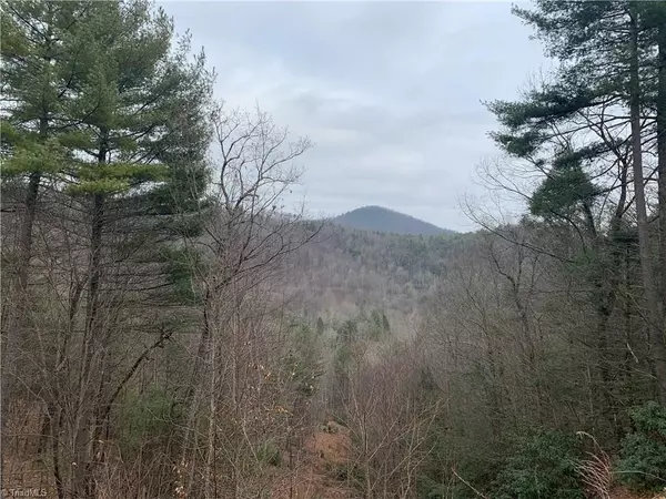 Millers Creek, NC 28651,63 Riverview RD