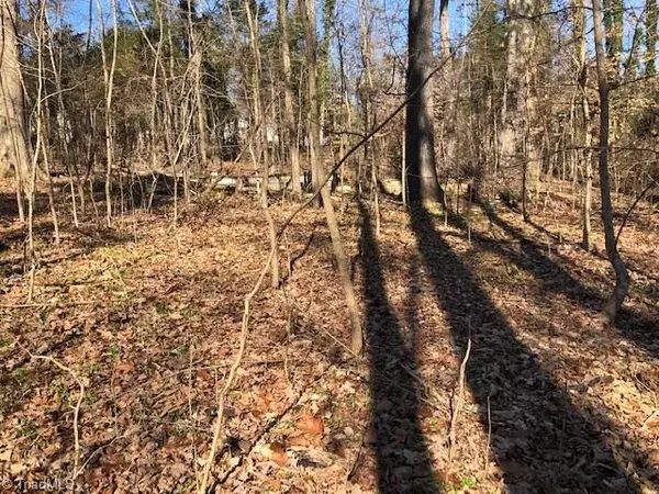 0 Brooklyn Avenue EXT, Ramseur, NC 27316