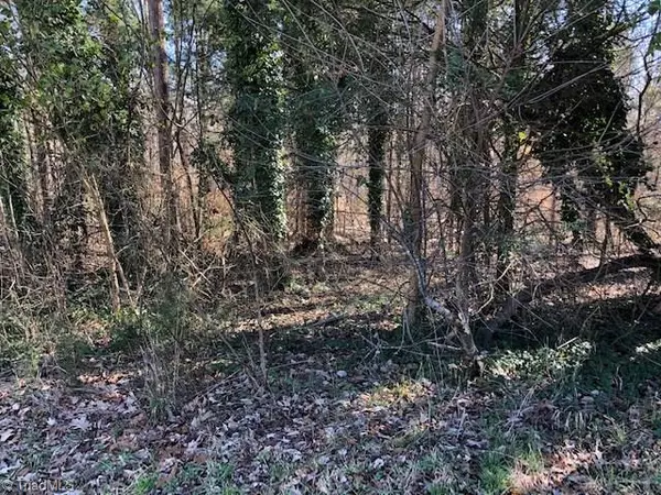 Ramseur, NC 27316,0 Brooklyn Avenue EXT