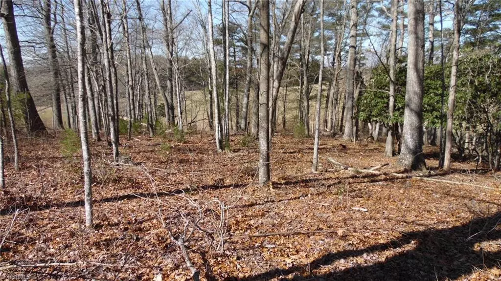 Piney Creek, NC 28675,TBD Cubs LN