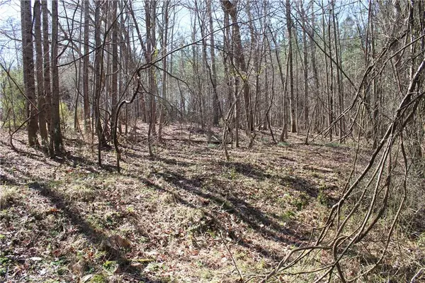 King, NC 27021,XX Gentry Farm RD