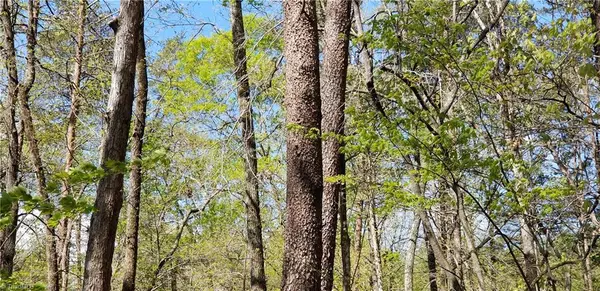 Tobaccoville, NC 27050,0 Evans Farm RD