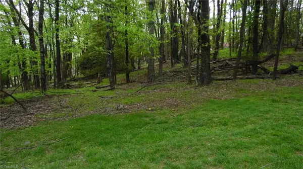 Roaring Gap, NC 28668,TBD 35K Longview CIR