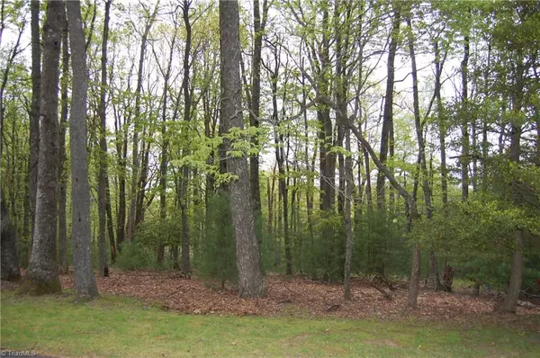 TBD Lot 3-6 Hickory Hill LN, Roaring Gap, NC 28668