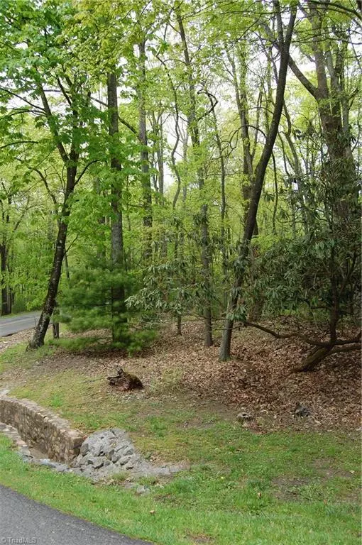 Roaring Gap, NC 28668,TBD Lot 41K Longview CIR