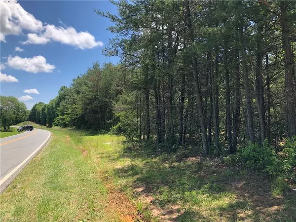 Pinnacle, NC 27043,2.65Ac N Old 52 RD