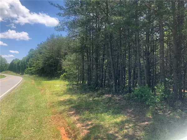 Pinnacle, NC 27043,2.65Ac N Old 52 RD