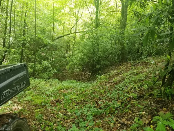 Millers Creek, NC 28651,00 N NC Highway 16