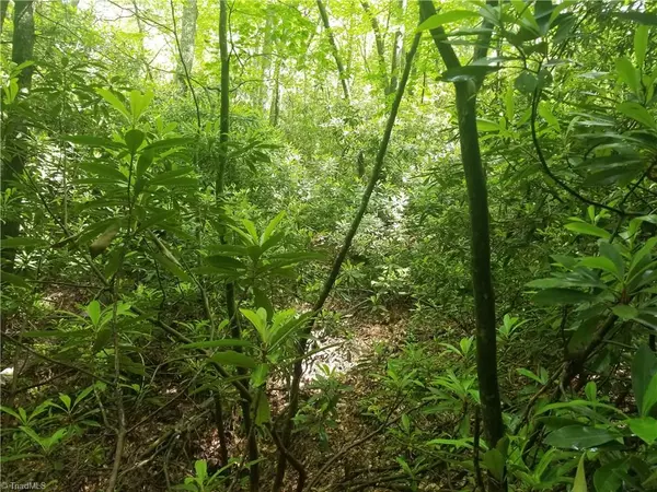 Millers Creek, NC 28651,00 N NC Highway 16