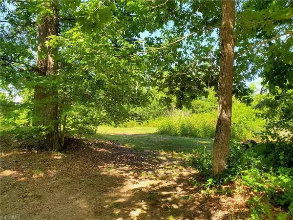 Roaring River, NC 28669,Lot 15 Annie Sophia LN