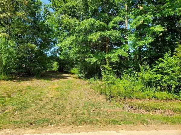 Roaring River, NC 28669,Lot 15 Annie Sophia LN