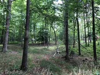 Moravian Falls, NC 28654,lot 14 meadow Pkwy