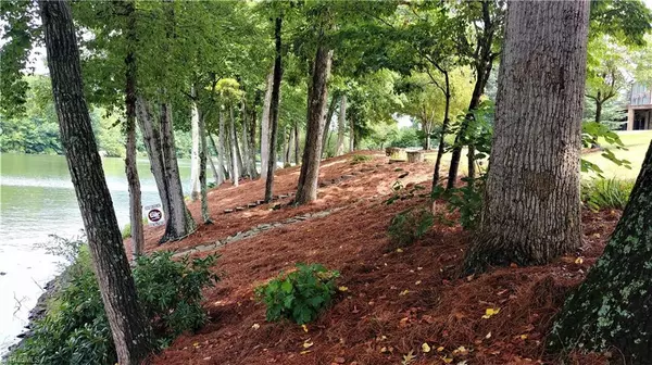 Belews Creek, NC 27009,140 Marion Point DR