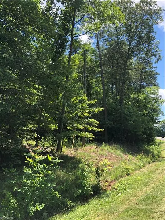 Stoneville, NC 27048,280 Macgregor LN