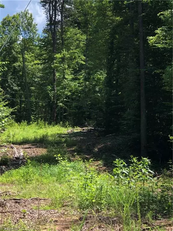 Stoneville, NC 27048,280 Macgregor LN