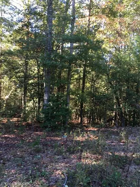 North Wilkesboro, NC 28659,00 Baptist Home RD