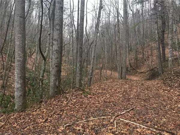 Millers Creek, NC 28651,TBD Old NC Highway 16