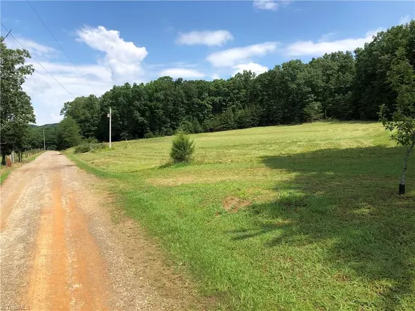 North Wilkesboro, NC 28659,0 Cooter Hollow RD