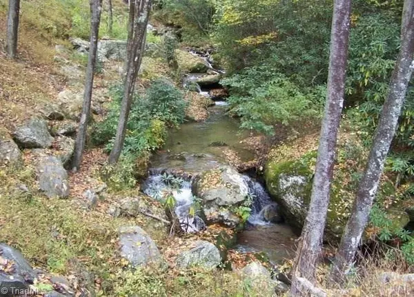 Millers Creek, NC 28651,57 A Riverview RD