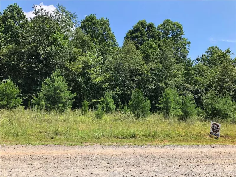 2B Buckskin TRL #Buckskin Trail, Boonville, NC 27011