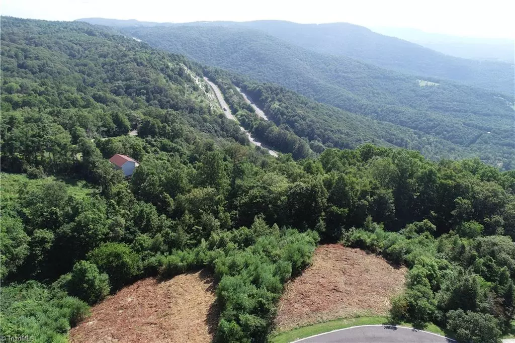 Fancy Gap, VA 24328,Lot 20 PANORAMA DR