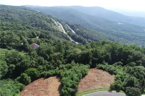 Lot 20 PANORAMA DR, Fancy Gap, VA 24328